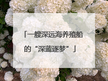 一艘深远海养殖船的“深蓝逐梦”